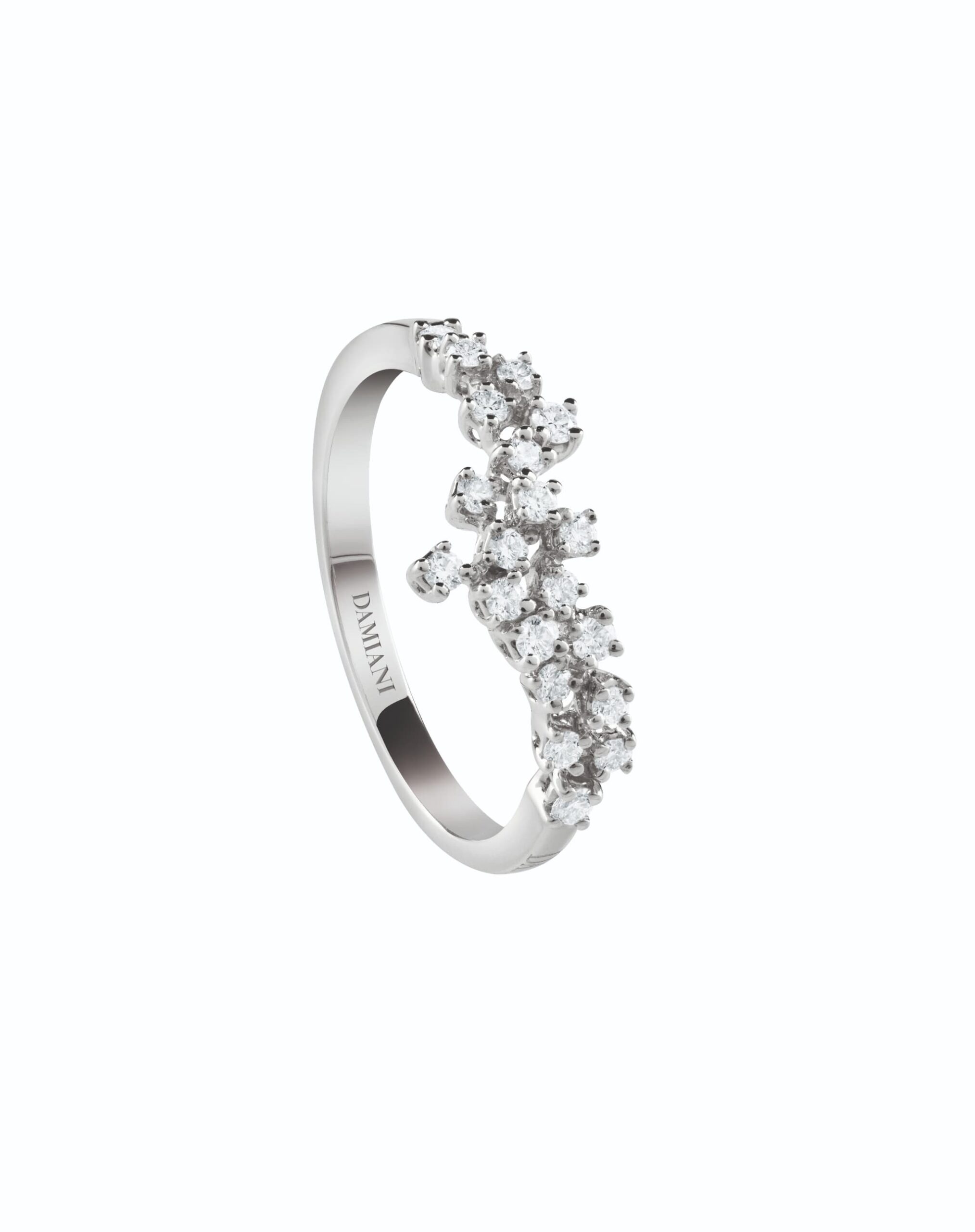MIMOSA Rings